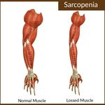 Dr. Salvatore Salerno - SERVIZIO DI DIETOLOGIA - SIRIDAP