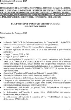 L'AUTORIT&Agrave; PER L'ENERGIA ELETTRICA IL GAS E IL SISTEMA IDRICO