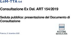 Consultazione Ex Del. ART 154/2019 - Seduta pubblica: presentazione del Documento di Consultazione - Regione Basilicata