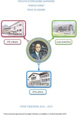 ISTITUTO D'ISTRUZIONE SUPERIORE "ENRICO FERMI" PIEVE DI CADORE - PTOF TRIENNIO 2016 2019