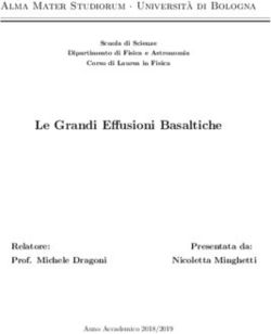 Le Grandi Effusioni Basaltiche - Alma Mater Studiorum Universit'a di Bologna - Relatore: AMS Tesi di Laurea