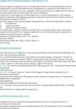 FORNO PER SINTERIZZAZIONE DI ZIRCONIO EFZ 21 - EUROCEM