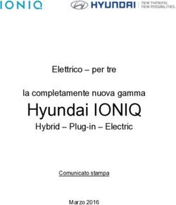 Hyundai IONIQ Hybrid - Plug-in - Electric - Elettrico - per tre la completamente nuova gamma