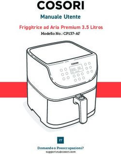 Manuale Utente Friggitrice ad Aria Premium 3.5 Litros - Modello No.: CP137-AF - Quotidianpost