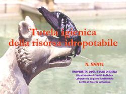 Tutela igienica della risorsa idropotabile - N. NANTE UNIVERSITA' DEGLI STUDI DI SIENA