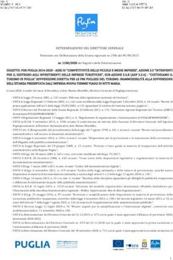 DETERMINAZIONE DEL DIRETTORE GENERALE - Puglia ...