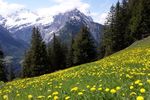 Bollettino del clima Giugno 2019 - MeteoSvizzera
