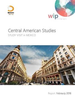Central American Studies - STUDY VISIT in MEXICO - Report: Febraury 2018