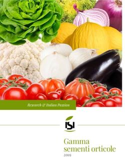 Gamma sementi orticole - 2019 Research & Italian Passion