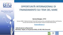 OPPORTUNIT&Agrave; INTERNAZIONALI DI FINANZIAMENTO SUI TEMI DEL MARE - Cluster ...