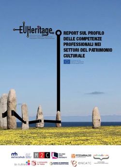 REPORT SUL PROFILO DELLE COMPETENZE PROFESSIONALI NEI SETTORI DEL PATRIMONIO CULTURALE
