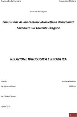 RELAZIONE IDROLOGICA E IDRAULICA - Costruzione di una centrale idroelettrica denominata Savoniero sul Torrente Dragone - Provincia di Modena