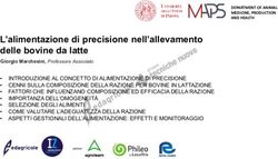 L'alimentazione di precisione nell'allevamento delle bovine da latte