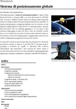 Sistema di posizionamento globale - Homoapuanis