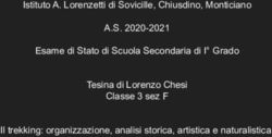Istituto A. Lorenzetti di Sovicille, Chiusdino, Monticiano - A.S. 2020-2021 Esame di Stato di Scuola Secondaria di I Grado Tesina di Lorenzo ...