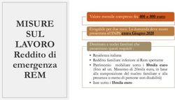 MISURE SUL LAVORO Reddito di emergenza - REM