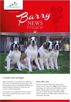 NEWS - La Fondation Barry