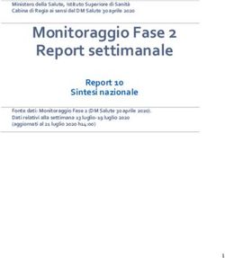 Monitoraggio Fase 2 Report Settimanale - Report 10 Sintesi Nazionale ...