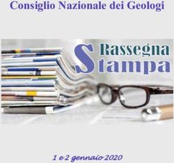 Consiglio Nazionale dei Geologi - 1 e 2 gennaio 2020 - Consiglio Nazionale ...
