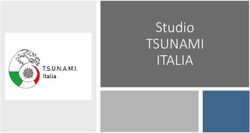 TSUNAMI ITALIA Studio - Senato
