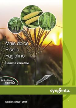 Mais dolce Pisello Fagiolino - Gamma varietale Orticoltura Valore - Syngenta Italia
