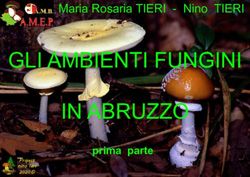 GLI AMBIENTI FUNGINI IN ABRUZZO - Maria Rosaria TIERI - Nino TIERI - prima parte
