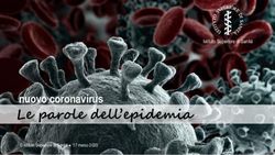Le parole dell'epidemia - nuovo coronavirus Istituto Superiore di Sanità - ISS