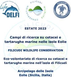 ESTATE 2023 Campi di ricerca su cetacei e tartarughe marine nelle isole Eolie Eco-volontariato di ricerca su cetacei e tartarughe marine ...