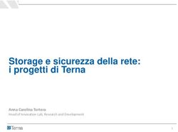Storage e sicurezza della rete: i progetti di Terna - Anna Carolina Tortora Head of Innovation Lab, Research and Development - Aeit