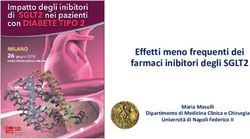Effetti meno frequenti dei farmaci inibitori degli SGLT2 - Maria Masulli Dipartimento di Medicina Clinica e Chirurgia Università di Napoli Federico II