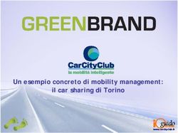 Un esempio concreto di mobility management: il car sharing di Torino