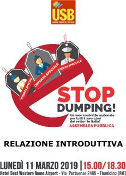 RELAZIONE INTRODUTTIVA - Usb