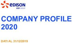 COMPANY PROFILE 2020 DATI AL 31/12/2019 - Edison
