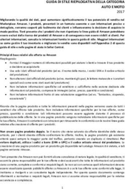 GUIDA DI STILE RIEPILOGATIVA DELLA CATEGORIA AUTO E MOTO