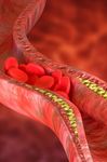 American College of Cardiology - ACC.20 World Congress of Cardiology PDF INTERATTIVO - Pharmastar