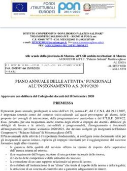 PIANO ANNUALE DELLE ATTIVITA' FUNZIONALI ALL'INSEGNAMENTO A.S. 2019/2020