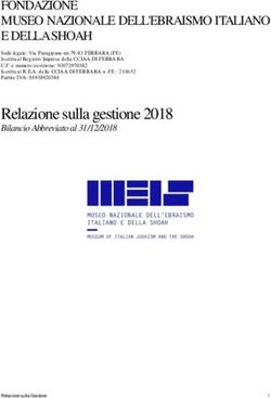 Relazione sulla gestione 2018 - Bilancio Abbreviato al 31/12/2018 - MEIS