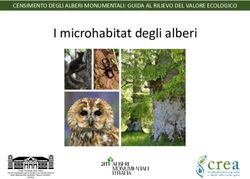 I microhabitat degli alberi - CENSIMENTO DEGLI ALBERI MONUMENTALI: GUIDA AL RILIEVO DEL VALORE ECOLOGICO