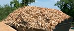 Soluzioni per la movimentazione in AGRICOLTURA - www.manitou.com - Foredil