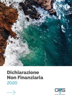 Dichiarazione Non Finanziaria 2020 - GVS Filter Technology
