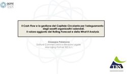 Il Cash Flow e la gestione del Capitale Circolante per l'adeguamento degli assetti organizzativi aziendali. Il valore aggiunto del Rolling ...