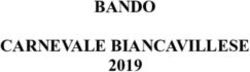 BANDO CARNEVALE BIANCAVILLESE 2019 - Comune di Biancavilla
