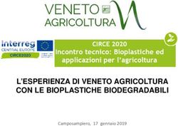 L'ESPERIENZA DI VENETO AGRICOLTURA CON LE BIOPLASTICHE BIODEGRADABILI - Camposampiero, 17 gennaio 2019 - ETRA