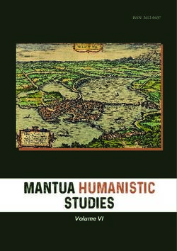 Mantua Humanistic Studies - Volume VI