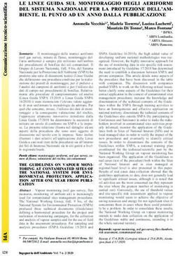 LE LINEE GUIDA SUL MONITORAGGIO DEGLI AERIFORMI DEL SISTEMA NAZIONALE PER LA PROTEZIONE DELL'AM- BIENTE. IL PUNTO AD UN ANNO DALLA PUBBLICAZIONE