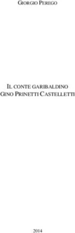IL CONTE GARIBALDINO GINO PRINETTI CASTELLETTI - GIORGIO PEREGO 2014