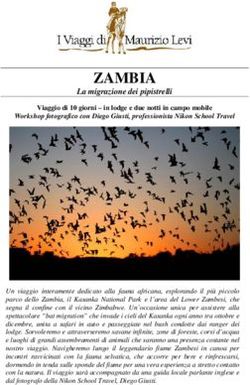 ZAMBIA La migrazione dei pipistrelli - I Viaggi di Maurizio Levi