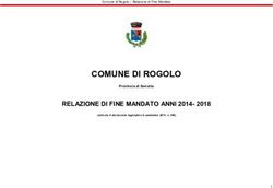 COMUNE DI ROGOLO RELAZIONE DI FINE MANDATO ANNI 2014- 2018