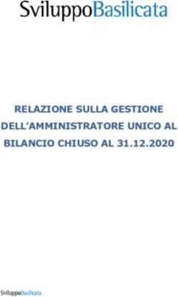 RELAZIONE SULLA GESTIONE DELL'AMMINISTRATORE UNICO AL BILANCIO CHIUSO AL 31.12.2020