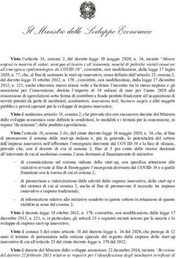Il Ministro dello Sviluppo Economico